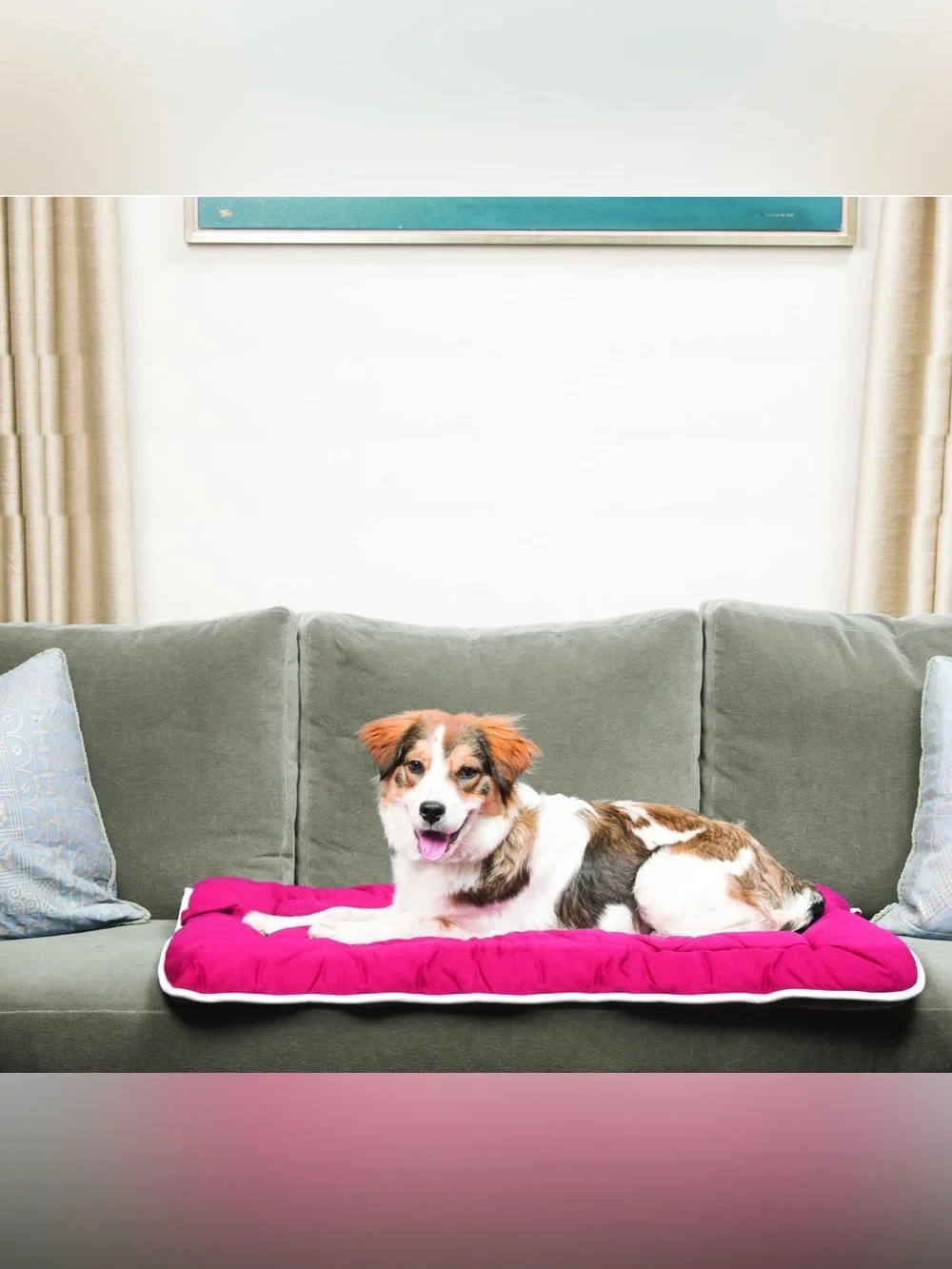 EUC DGS Pet Products/D.GS Smarter By Design Cotton Canvas Sleeper Expresso M